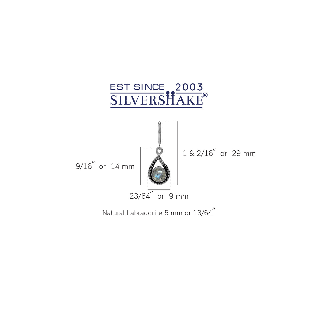 Silvershake Labradorite 925 Sterling Silver Paisley Shape Leverback Drop Earrings - Silvershake-store
