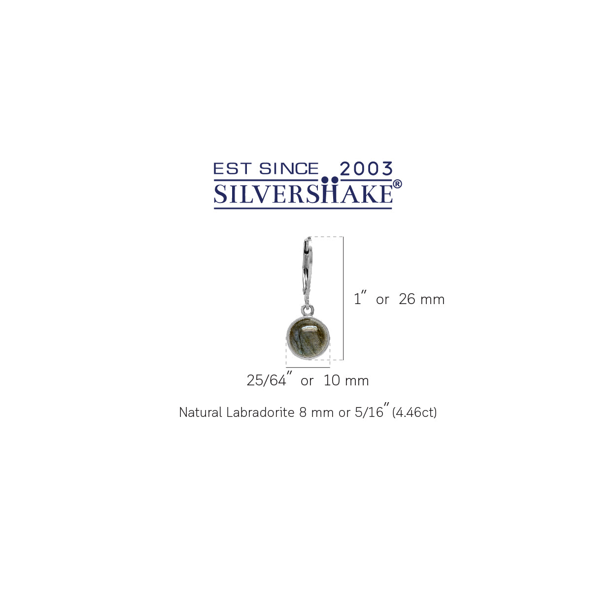 8mm Round Shape Labradorite White Gold Plated 925 Sterling Silver Leverback Dangle Earrings - Silvershake-store