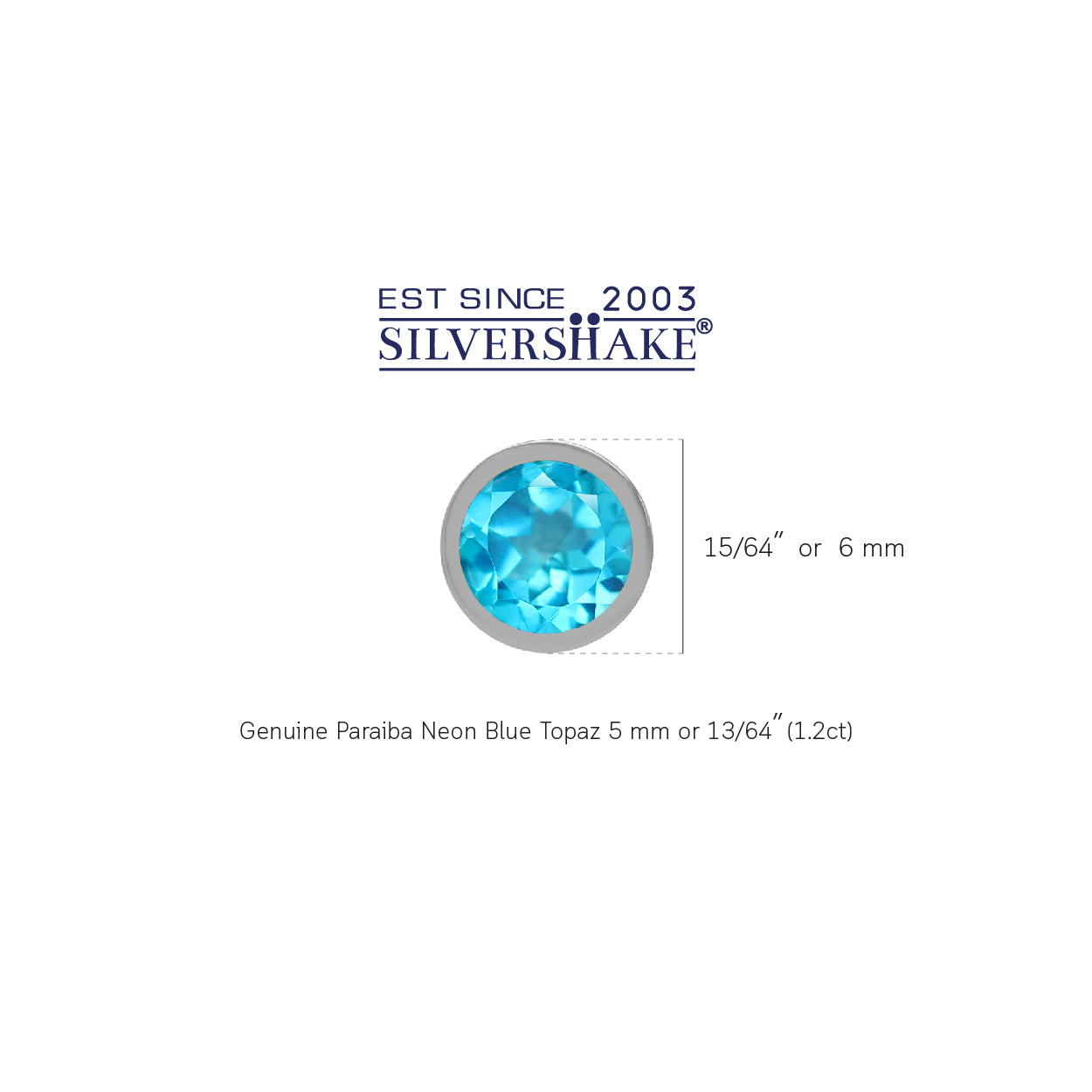 Petite 5MM 1.2 CTW Genuine Round Shape Paraiba Neon Blue Topaz 925 Sterling Silver Bezel Set Stud Gemstone Earrings Jewelry for Women Business Attire - Silvershake-store