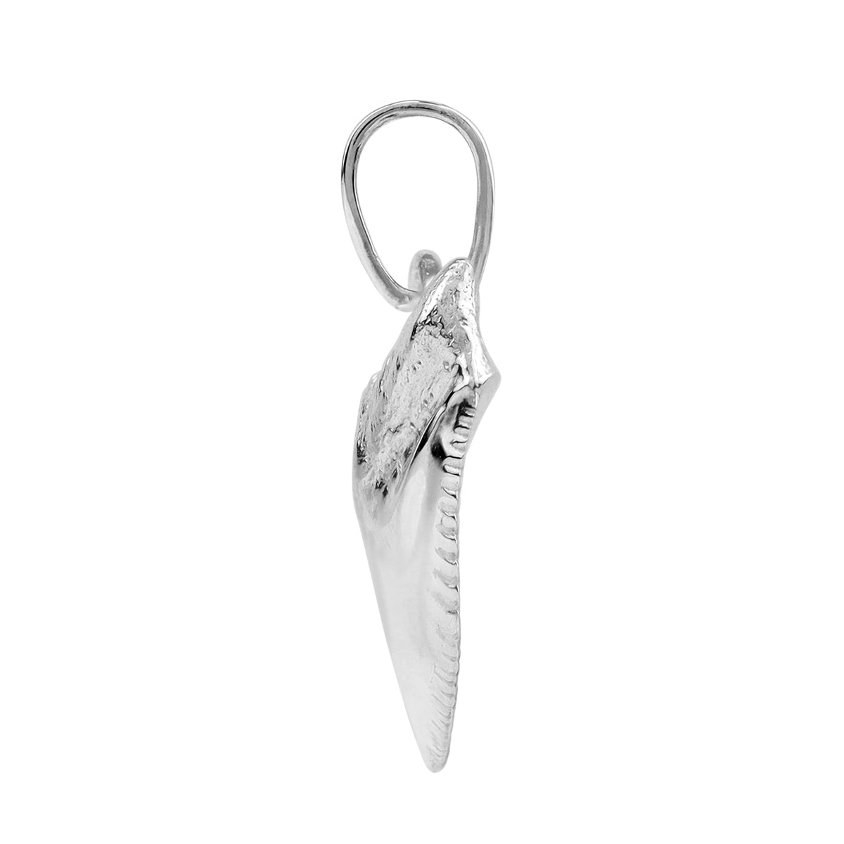 Silvershake White Gold Plated 925 Sterling Silver Tiger Shark Tooth Sealife Divers Casual Pendant Jewelry for Unisex - Silvershake-store