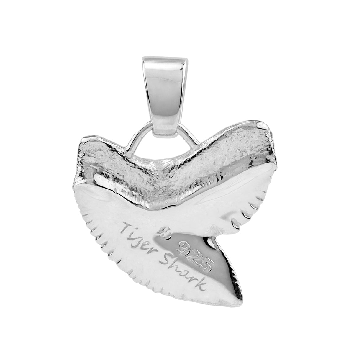 Silvershake White Gold Plated 925 Sterling Silver Tiger Shark Tooth Sealife Divers Casual Pendant Jewelry for Unisex - Silvershake-store